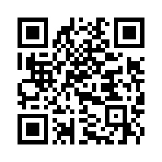 BIDI Vanguard Grafic